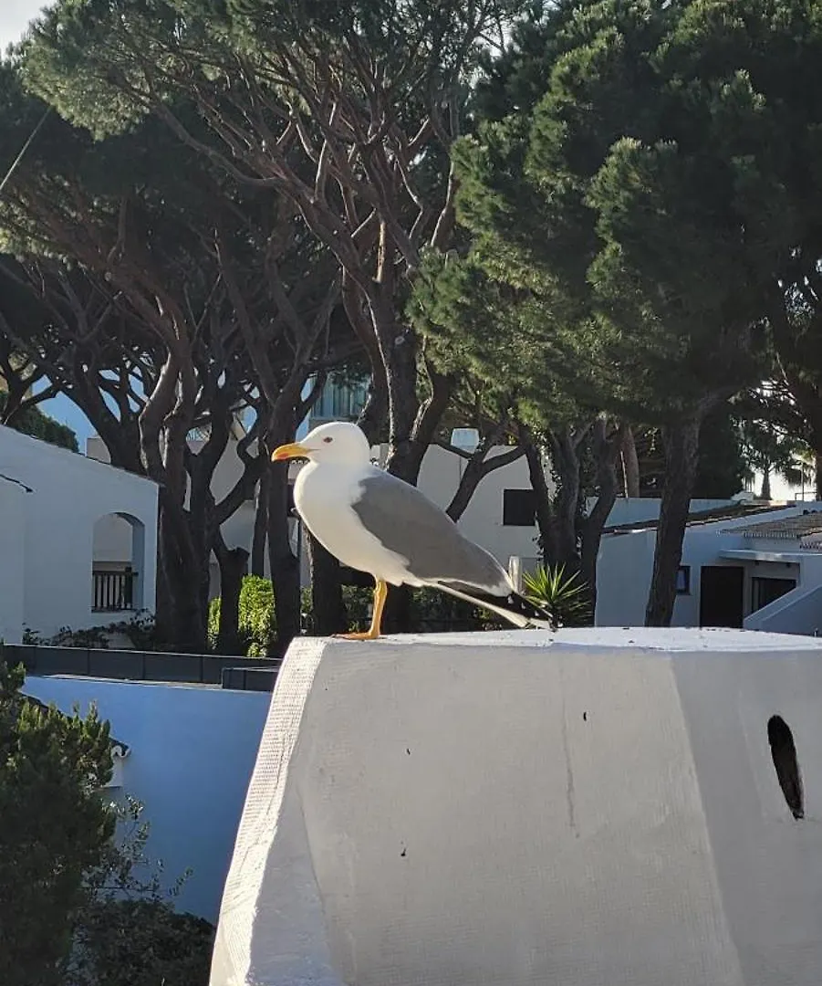 Apt P209 Situe Au Sein De Balaia Golf Village Albufeira